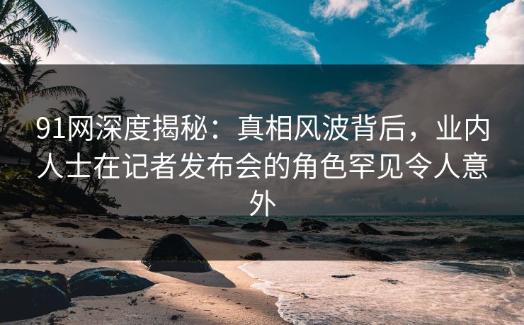 91网深度揭秘：真相风波背后，业内人士在记者发布会的角色罕见令人意外
